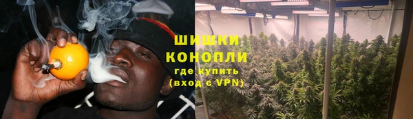 стафф Нефтегорск