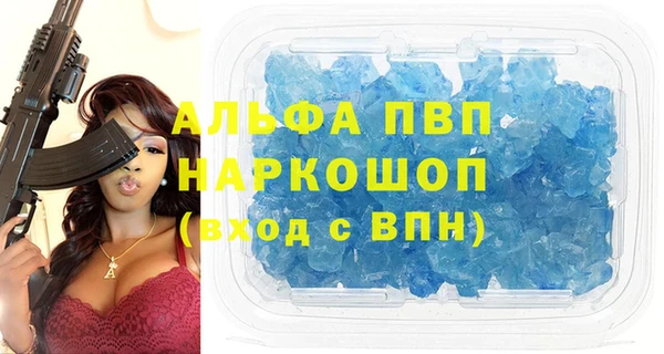 дживик Тайга