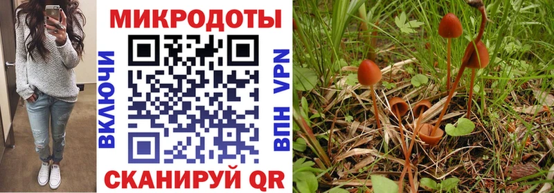 Псилоцибиновые грибы Cubensis  хочу наркоту  Новое Девяткино 